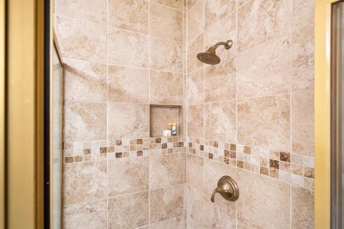 Shores at Waikoloa 234 at Bo Tree Tower - image 6