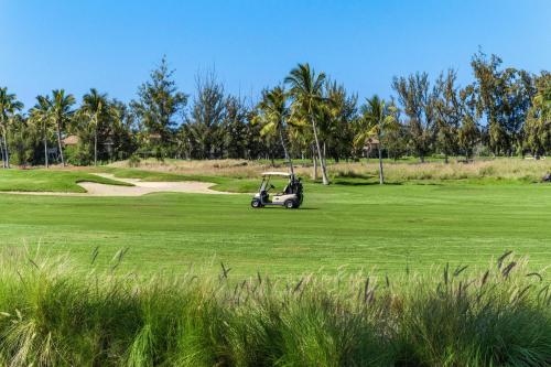 Waikoloa Beach Villas O2 - image 6