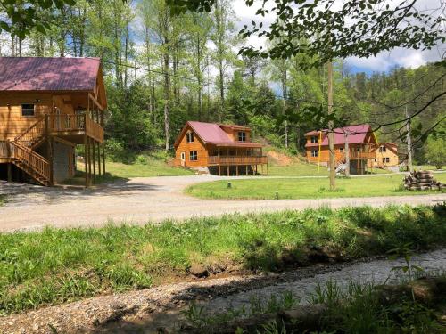 Lazy Raccoon Cabin in Starkeytown, USA