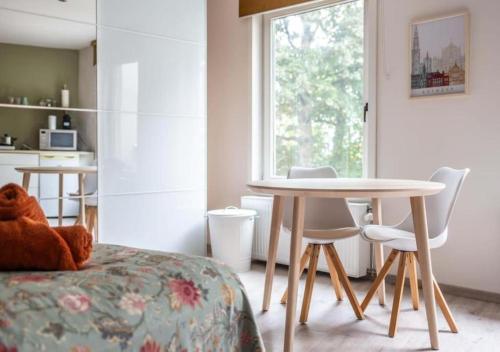 Cozy 3BR Home near Meir in Antwerp City Centre, Amberes (foto 6)