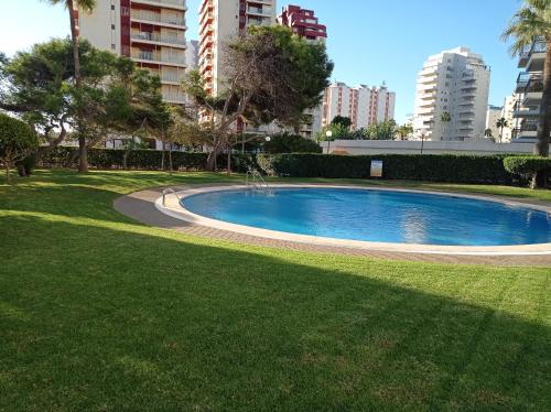 Apartment with Terrace image 8