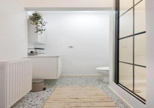 Hip & Historic Stay Antwerp, Antverpy (fotografie 6)