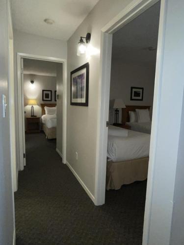 Tantalus Boutique Lodge Mountain Ski Suite in Whistler, Canada