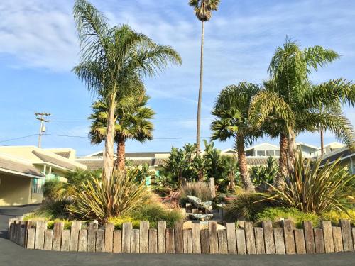 Instalações, Beach Bungalow Inn and Suites in Baía do Morro (CA)