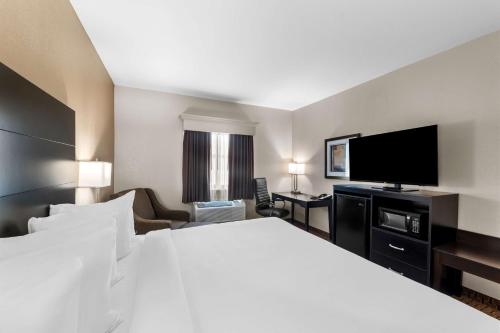 Best Express Inn & Suites Calera - image 12