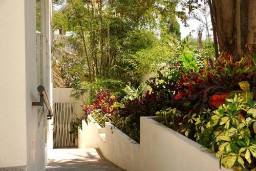 Aqua Reef Condos Sayulita, Apt 1 in Sayulita, Mexico