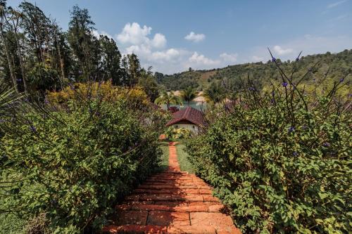 彼得拉桑塔酒店