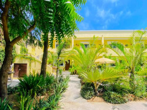 A szálláshely kívülről, Gallo Azul Hotel, en el corazón de Todos Santos (Gallo Azul Hotel, en el corazon de Todos Santos) in Todos Santos