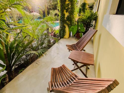 Kert, Gallo Azul Hotel, en el corazón de Todos Santos (Gallo Azul Hotel, en el corazon de Todos Santos) in Todos Santos
