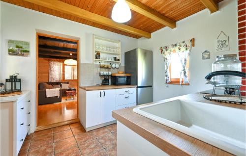 virtuve, 1 Bedroom Awesome Home In Augustanovec in Pisarovina