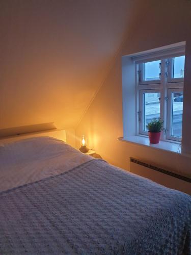 Guesthouse Lyngholt - image 10