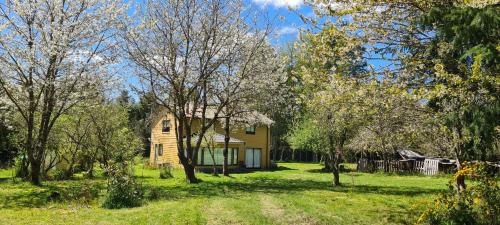 Casa Selva - Collico