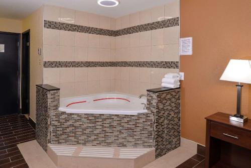 Quality Inn Appleton - image 7
