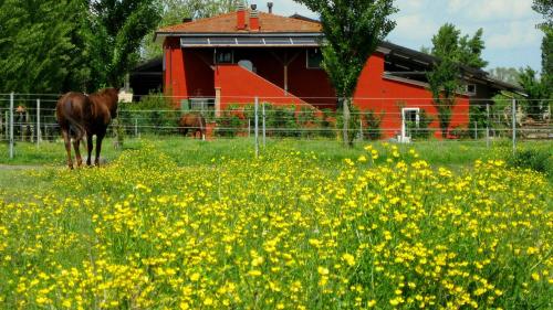  Agriturismo Adriano Pedretti, Badia Polesine bei Sermide