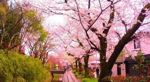 RESI STAY Kumico Amaterrace – Kyoto, IL