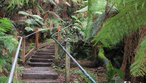 Castle in Ferny Creek with Pool