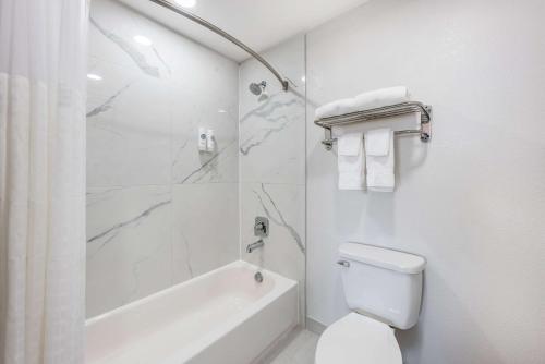 Comfort Inn & Suites Belton Temple South I-35 in Belton, USA