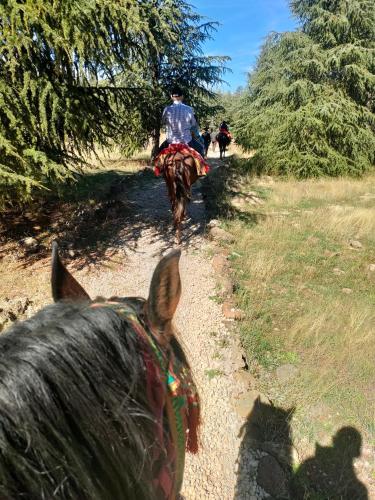 Chez Adam in Quartier El Mansour