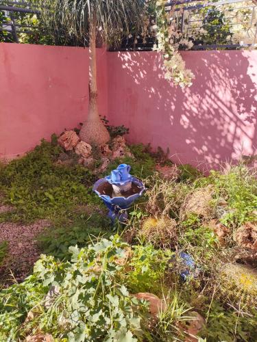 Chez Adam in Quartier El Mansour