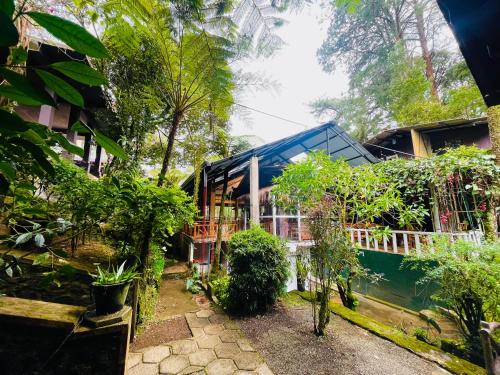 King Fern Cottage in Nuwara Eliya