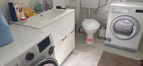 Cornu Paradise Cornu Paradise