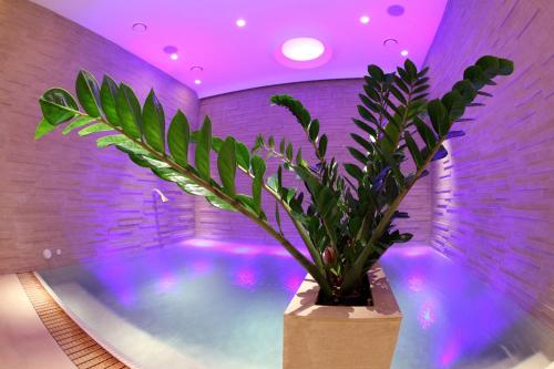 Hotel La Ripetta - image 5