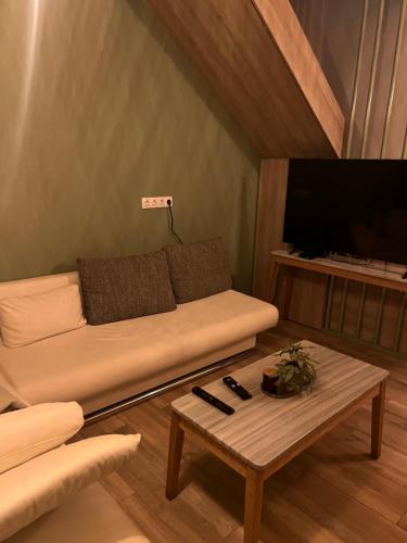 Drama's nest Drama's nest