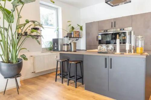 Design Apartment im Zentrum von Nienburg!