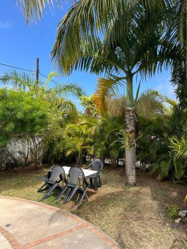 Paradise Palms Paradise Palms