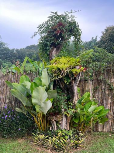 Baan Nam Phaeng Homestay