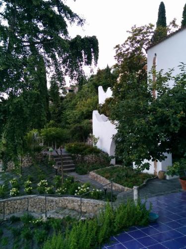 Eleanor' s Garden - image 2