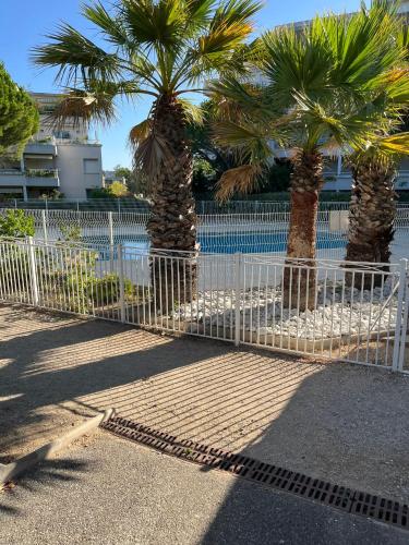 Swimming pool, Appartement T2, 55M2, meuble, piscine in Baumettes