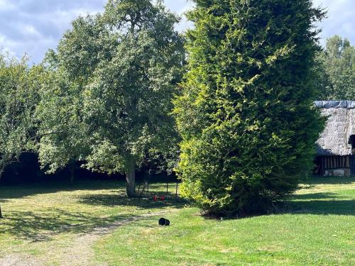 La perle normande in Sainte-Opportune-la-Mare