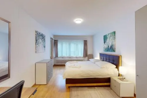 Terrific 2BD flat near City Center and Lake - Wille 5 in Zürich, Schweiz
