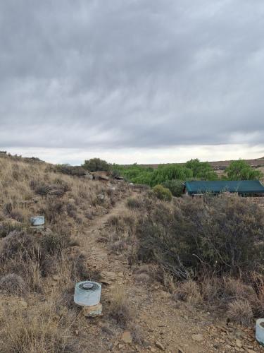 Safari Game Camp Safari Game Camp