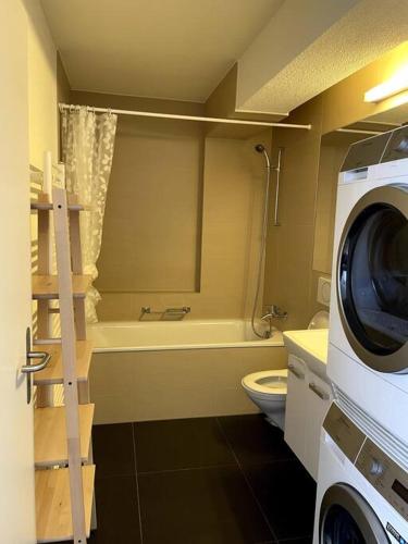 Charming 1BR flat in the city centre - West9, Curych (fotografie 10)