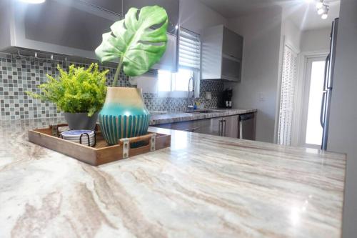 Vibrant Luxury Apartment! in Boca Raton, USA