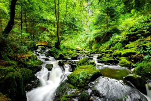 Alrededores, REGIOHOTEL Harzresidenz Wernigerode - #Familienfreundlich #FrischRenoviert #Waschmaschine #FreeParki in Wernigerode