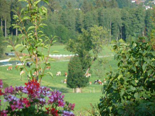 Ferienwohnung Panorama 859m von Bad Kohlgrub entfernt