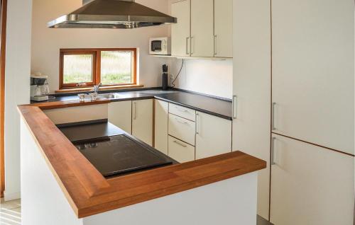 cuina, Holiday Home Klitengene Xi in Thorsminde