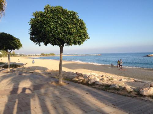  Apartment Austral 5 in Cambrils