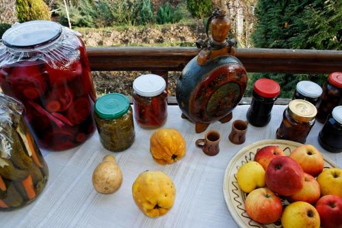 Pension Stejeris - image 13