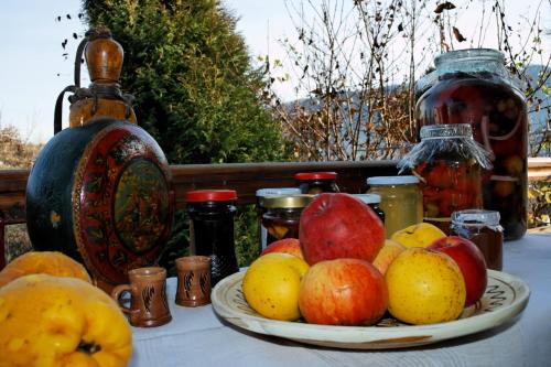 Pension Stejeris - image 12