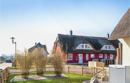 Küstenseeschwalbe - image 4
