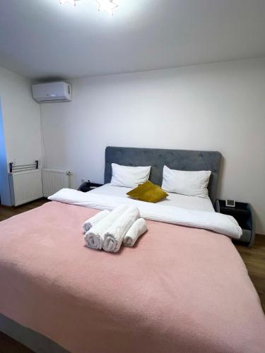 Boby s Studio with Free Parking, Turda