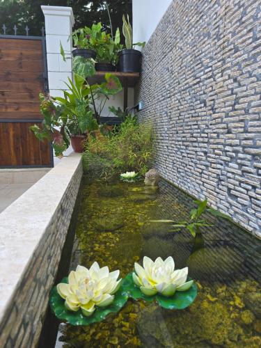 Villa Belsoley in Les Abymes