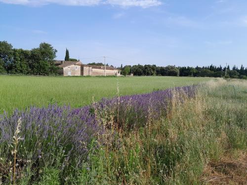 Skats, Eco gîte des chênes (Eco gite des chenes) in Colonzelle