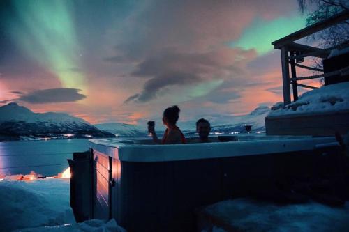 . Arctic Aurora View