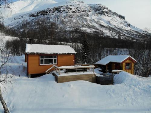 Arctic Aurora View in Lakselvbukt