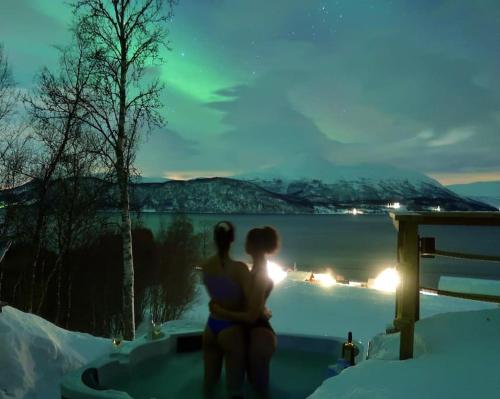 Arctic Aurora View in Lakselvbukt